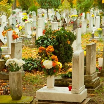 Tombe entretenue et fleurie dans un cimetière du Val-d'Oise